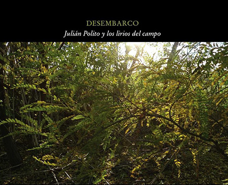 Portada del disco «Desembarco» de Julián Polito.