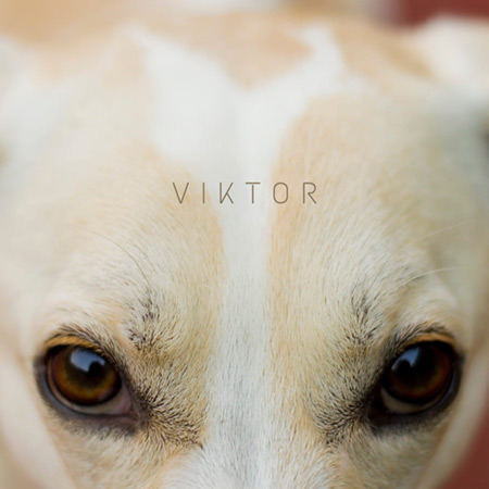 Portada del disco «Viktor» de Tomás Calvano.