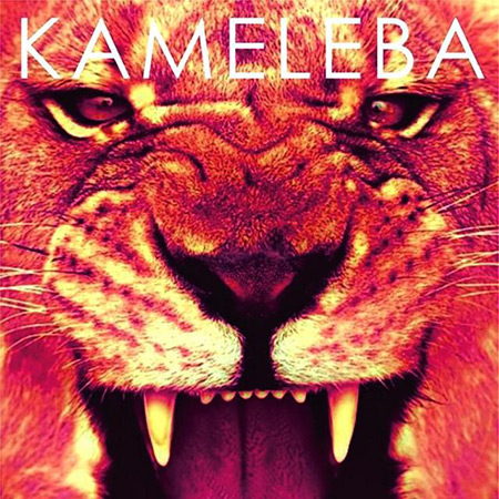 El activista (Kameleba) [2015]